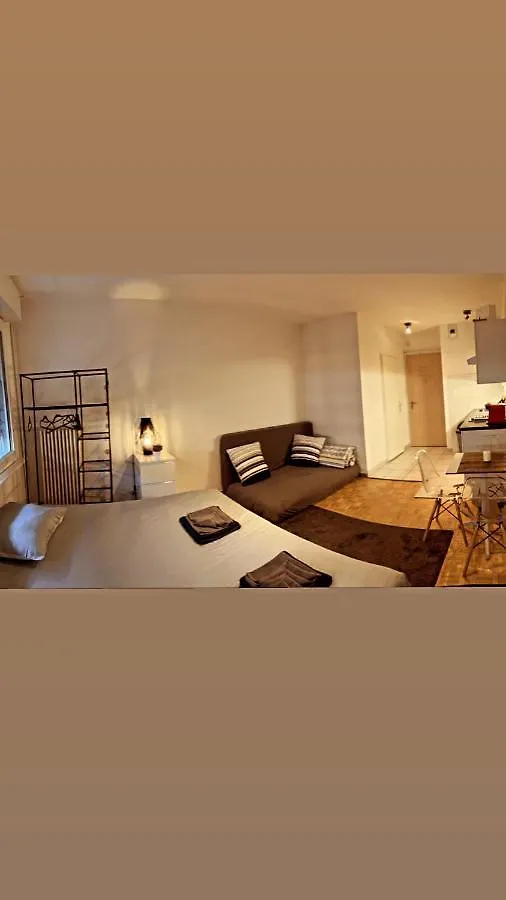 Quenn Bee Studio Apartment Geneva