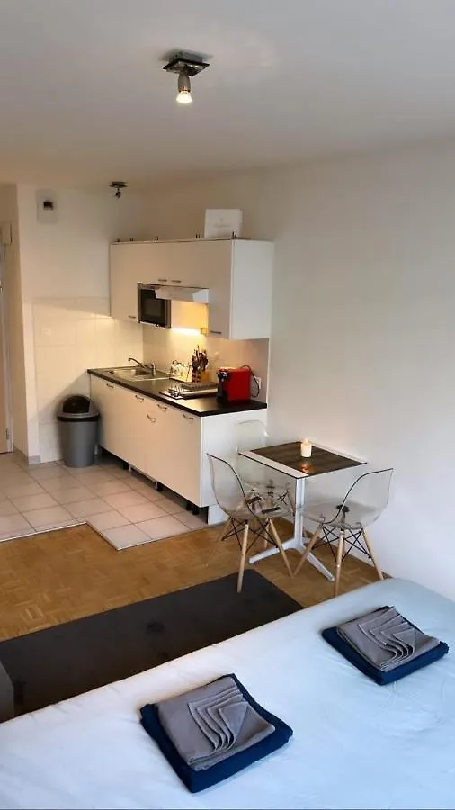 Quenn Bee Studio Apartment Geneva